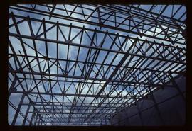Pulpmill - Expansion Project - Steel structure