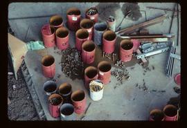Pulpmill - Expansion Project - Buckets of nuts and bolts