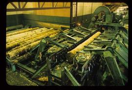 Upper Fraser Sawmill - General - Beaver machine