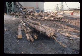 Prince George (P.G.) Sawmill - General - Oversize logs for Shelley mill