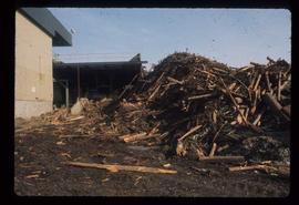 Prince George (P.G.) Sawmill - General - Log yard debris