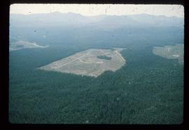Woods Division - Patch Logging - Aerial view