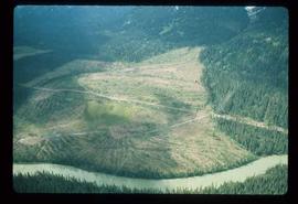 Woods Division - Patch Logging - Aerial view