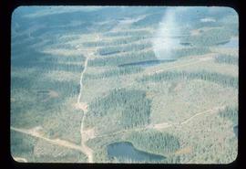 Woods Division - Patch Logging - Aerial view of strip logged area CP23