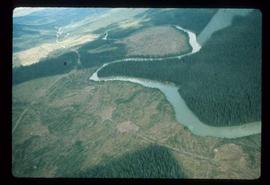 Woods Division - Patch Logging - Aerial view of CP 105