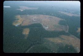 Woods Division - Patch Logging - Aerial view of meadow or 'Q' pattern east of Houston