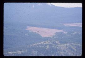 Woods Division - Patch Logging - Aerial view of 'Q' pattern at Betty Lake