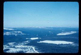 Woods Division - Patch Logging - Aerial view in winter