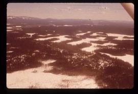 Woods Division - Patch Logging - Aerial view in winter of stipes and patterns on logged land