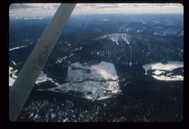 Woods Division - Patch Logging - Aerial view in winter