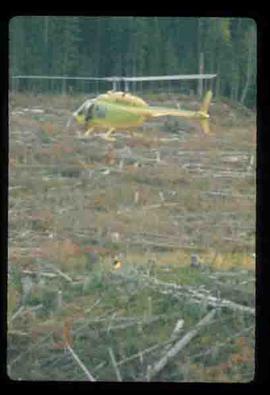 Woods Division - Fire - Helicopter lowering ignition device onto wooded landscape to begin combustion