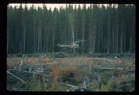 Woods Division - Fire - Helicopter hovering over cleared landscape