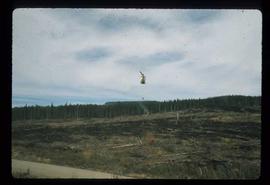 Woods Division - Fire - Helicopter hauling fire ignition device over logged area