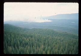 Woods Division - Fire - Distant view of rising smoke