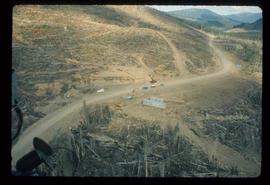 Woods Division - Fire - Aerial view of dirt road in logged area 