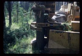 Woods Division - Mechanical Falling - Unique lead mounted on log loader for limbing and bucking logs