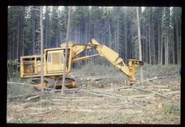 Woods Division - Mechanical Falling - Liebherr feller buncher