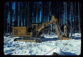 Woods Division - Mechanical Falling - Feller buncher