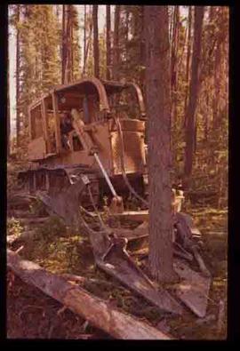 Woods Division - Mechanical Falling - feller buncher