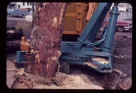 Woods Division - Mechanical Falling - CIF display of Auger tree cutter by Muirhead