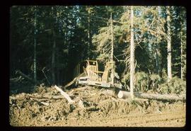 Woods Division - Mechanical Falling - Dika shear