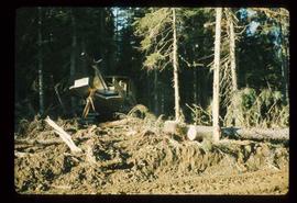 Woods Division - Mechanical Falling - Dika shear