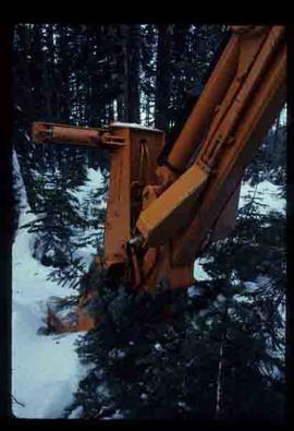 Woods Division - Mechanical Falling - DROH feller buncher (auger)