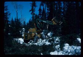Woods Division - Mechanical Falling - Osa feller buncher