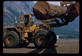 Woods Division - Loading - Loader with log (980 Lillouet)