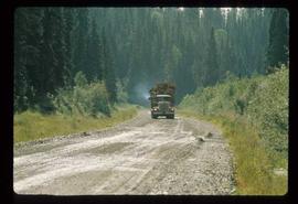 Woods Division - Hauling - Trucking on the Bateman Rd. (Giscome, BC)