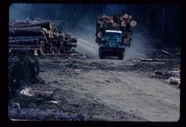 Woods Division - Hauling - Fully loaded logging truck passing a deck of logs