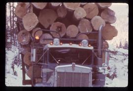 Woods Division - Hauling - Fully loaded logging truck