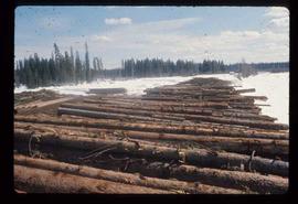 Woods Division - Logs/Log Decks - Riverdeck