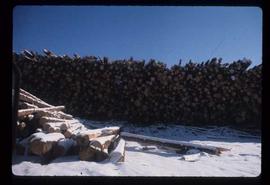 Woods Division - Logs/Log Decks - Upper Fraser decks