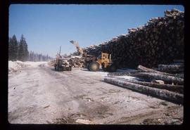 Woods Division - Logs/Log Decks - Decking at two mile