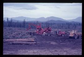 Woods Division - Chipper / Harvester - Morbark harvestor