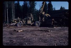 Woods Division - Letourneaus - Decking logs
