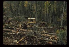 Reforestation - Scarification - D8 brush blade windrowing near Stony Lake