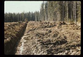 Reforestation - Willow Canyon Nursery - Trenching
