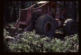 Reforestation - Willow Canyon Nursery - Skidder