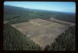Reforestation - Willow Canyon Nursery - Site from air