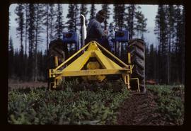 Reforestation - Willow Canyon Nursery - Tractor