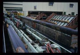 Houston Sawmill - General - Belts for log transfer and outfeed of merchandiser