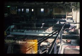 Houston Sawmill - General - Interior shot of machinery