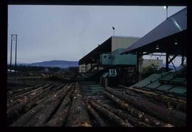 Houston Sawmill - General - Logs ready for infeed to merchandiser