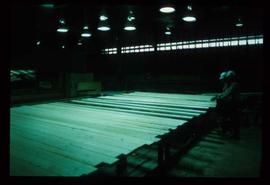 Houston Sawmill - General - Lumber transfer area