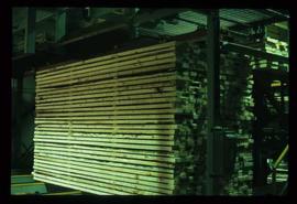 Houston Sawmill - General - Stacks of dry lumber