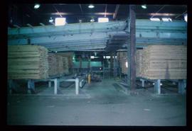 Houston Sawmill - General - Stacks of lumber headed for the planer