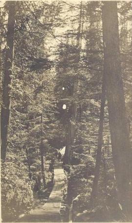Two men on a bridge in a forest, with wooden stairs in foreground