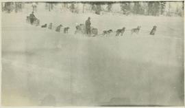 Two dogsled teams with mushers alongside